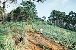 BIB: 
                            <button type="button" onclick="openModal(25654328)" class="btn btn-primary btn-sm float-right btn-popup" data-toggle="modal" data-target=".modal-high-quality">
                        <i class="fas fa-shopping-cart"></i> Add to Cart
                    </button>
                                            <button type="button" onclick="isThisMe(25654328, true)" class="btn btn-success btn-sm float-right btn-popup btn-isme hidden" data-toggle="tooltip" data-placement="bottom" title="นี่คือรูปของคุณใช่ไหม คลิกที่นี่เพื่อเอาเข้าอัลบั้ม">
                        <i class="fas fa-plus"></i> Add to album
                    </button>
                    <button type="button" onclick="isThisMe(25654328, false)" class="btn btn-warning btn-sm float-right btn-popup btn-isnotme hidden">
                        <i class="fas fa-ban"></i> Remove from album
                    </button>